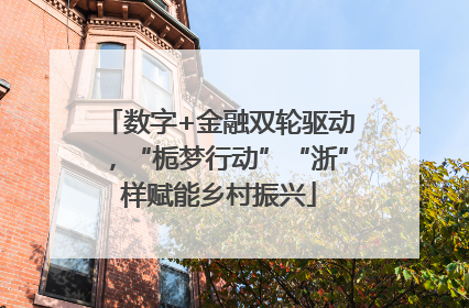数字+金融双轮驱动，“栀梦行动”“浙”样赋能乡村振兴