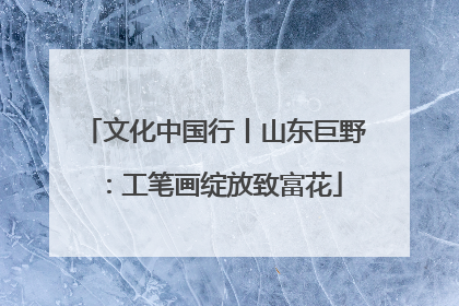 文化中国行丨山东巨野：工笔画绽放致富花