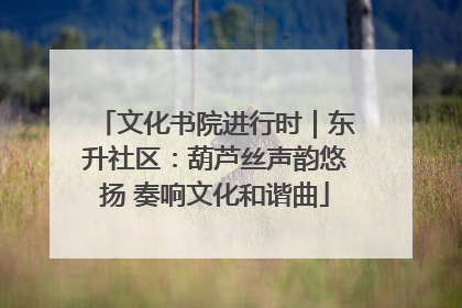 文化书院进行时｜东升社区：葫芦丝声韵悠扬 奏响文化和谐曲