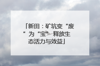 新田：矿坑变“废”为“宝” 释放生态活力与效益