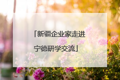 新疆企业家走进宁德研学交流