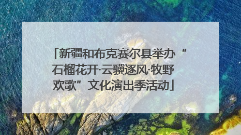 新疆和布克赛尔县举办“石榴花开·云骥逐风·牧野欢歌”文化演出季活动