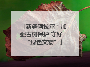 新疆阿拉尔：加强古树保护 守好“绿色文物”