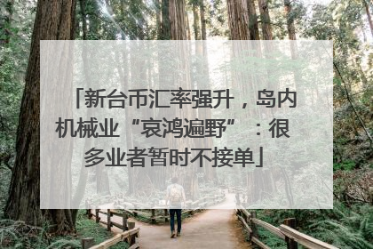 新台币汇率强升，岛内机械业“哀鸿遍野”：很多业者暂时不接单