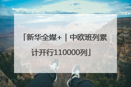 新华全媒+｜中欧班列累计开行110000列