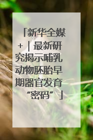 新华全媒+｜最新研究揭示哺乳动物胚胎早期器官发育“密码”