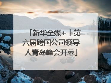新华全媒+丨第六届跨国公司领导人青岛峰会开幕