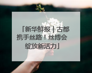 新华鲜报｜古都携手丝路！丝博会绽放新活力