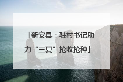 新安县：驻村书记助力“三夏”抢收抢种