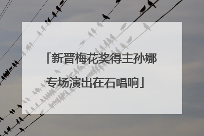 新晋梅花奖得主孙娜专场演出在石唱响