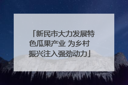 新民市大力发展特色瓜果产业 为乡村振兴注入强劲动力