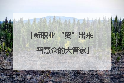 新职业 “贸”出来｜智慧仓的大管家