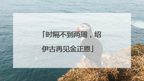 时隔不到两周，绍伊古再见金正恩