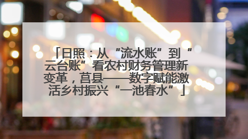 日照：从“流水账”到“云台账”看农村财务管理新变革，莒县——数字赋能激活乡村振兴“一池春水”