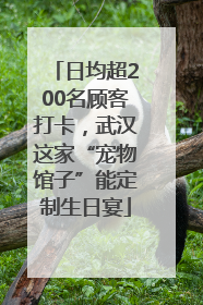 日均超200名顾客打卡，武汉这家“宠物馆子”能定制生日宴