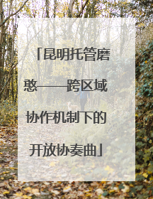 昆明托管磨憨——跨区域协作机制下的开放协奏曲