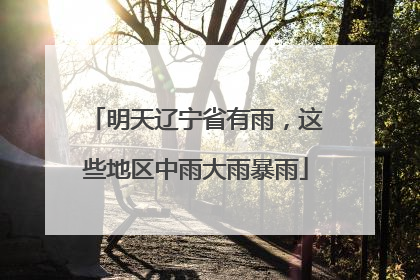 明天辽宁省有雨，这些地区中雨大雨暴雨