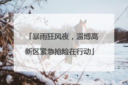 暴雨狂风夜，淄博高新区紧急抢险在行动