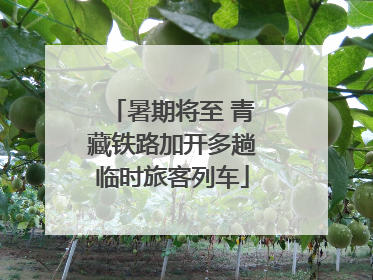 暑期将至 青藏铁路加开多趟临时旅客列车