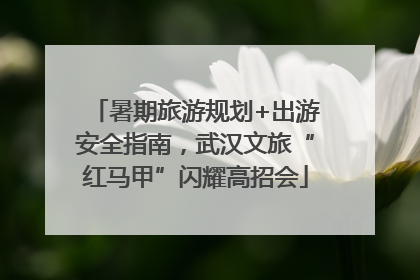 暑期旅游规划+出游安全指南，武汉文旅“红马甲”闪耀高招会