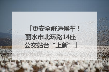 更安全舒适候车！丽水市北环路14座公交站台“上新”