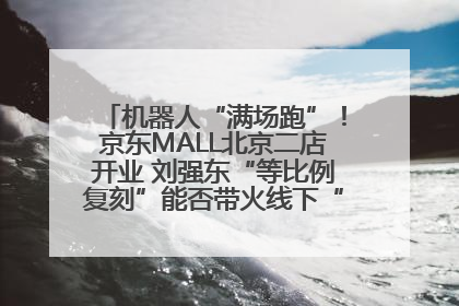 机器人“满场跑”！京东MALL北京二店开业 刘强东“等比例复刻”能否带火线下“618”？