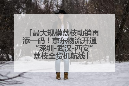 最大规模荔枝助销再添一码！京东物流开通“深圳-武汉-西安” 荔枝全货机航线