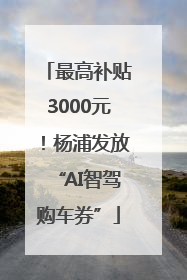 最高补贴3000元！杨浦发放“AI智驾购车券”