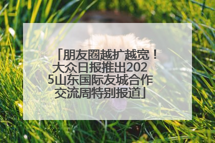 朋友圈越扩越宽！大众日报推出2025山东国际友城合作交流周特别报道