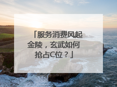 服务消费风起金陵，玄武如何抢占C位？