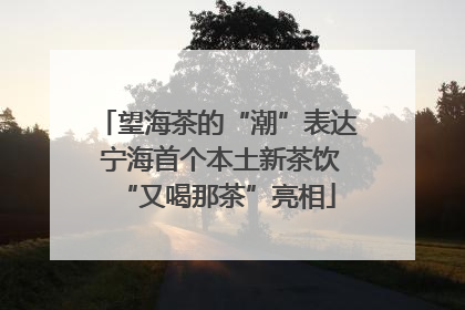 望海茶的“潮”表达 宁海首个本土新茶饮“又喝那茶”亮相