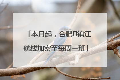 本月起，合肥⇋镇江航线加密至每周三班