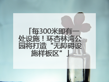 每300米即有一处设施！环杏林湾公园将打造“无障碍设施样板区”