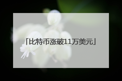 比特币涨破11万美元