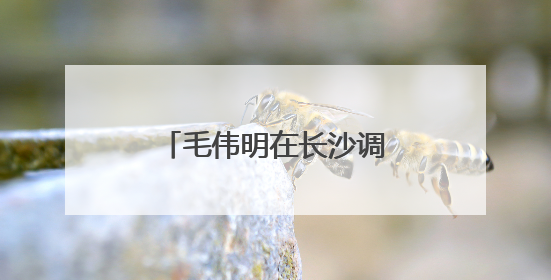 毛伟明在长沙调研中医药工作