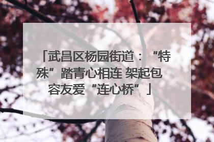 武昌区杨园街道：“特殊”踏青心相连 架起包容友爱“连心桥”