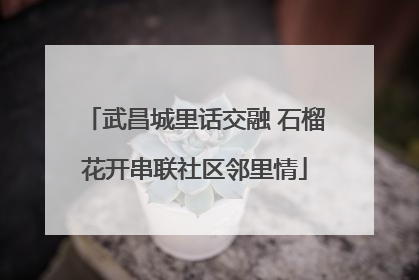 武昌城里话交融 石榴花开串联社区邻里情