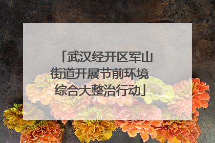 武汉经开区军山街道开展节前环境综合大整治行动
