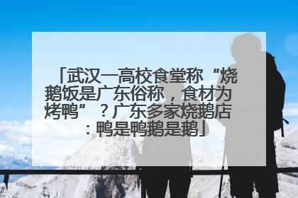 武汉一高校食堂称“烧鹅饭是广东俗称，食材为烤鸭”？广东多家烧鹅店：鸭是鸭鹅是鹅