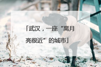 武汉，一座“离月亮很近”的城市