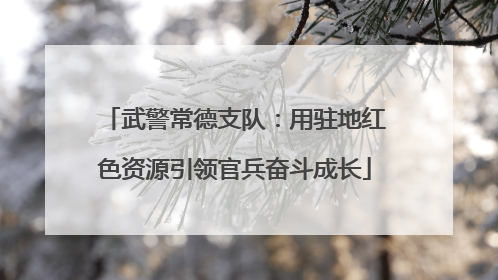 武警常德支队：用驻地红色资源引领官兵奋斗成长