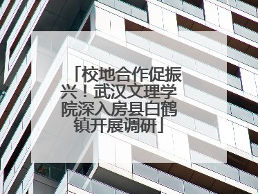 校地合作促振兴！武汉文理学院深入房县白鹤镇开展调研