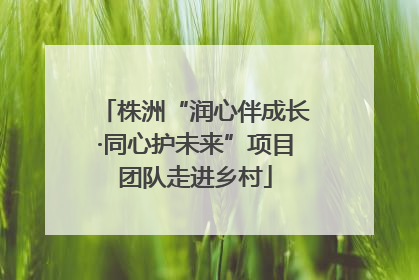 株洲“润心伴成长·同心护未来”项目团队走进乡村
