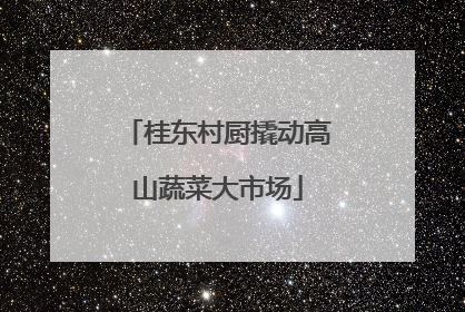 桂东村厨撬动高山蔬菜大市场