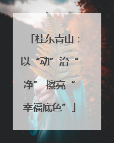 桂东青山：以“动”治“净” 擦亮“幸福底色”