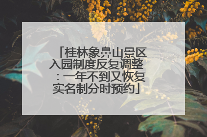 桂林象鼻山景区入园制度反复调整：一年不到又恢复实名制分时预约