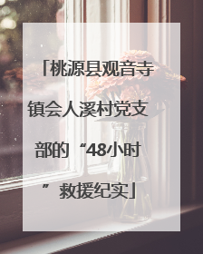 桃源县观音寺镇会人溪村党支部的“48小时”救援纪实