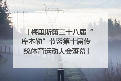 梅里斯第三十八届“库木勒”节暨第十届传统体育运动大会落幕