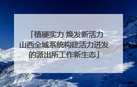 植硬实力 焕发新活力 山西全域系统构建活力迸发的派出所工作新生态