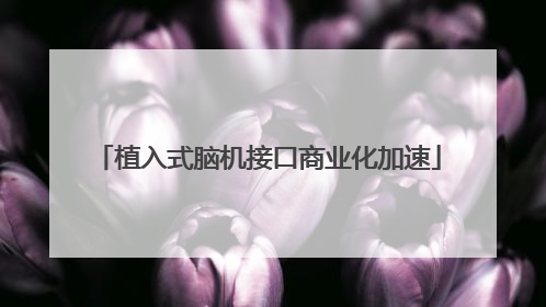 植入式脑机接口商业化加速